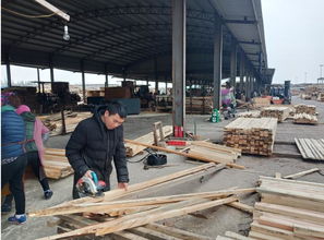 太倉建筑木方加工廠 建筑工程木材批發的首選基地