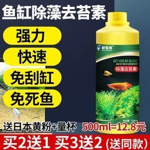 時光小舍 一方花木，妝點生活的小確幸